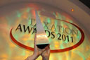 Taxation Awards 2011