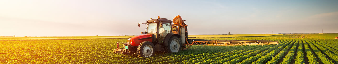 Farming and rural businesses - Accountancy services for Farming